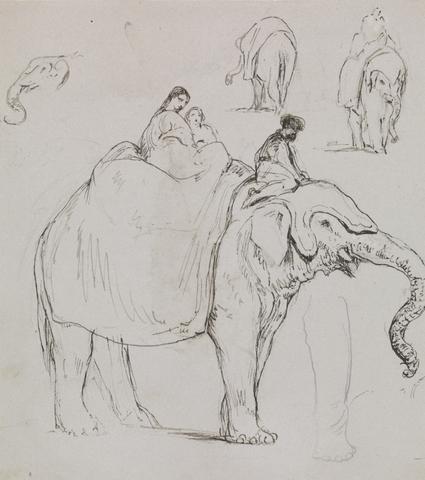 George Jones Figures on an Elephant and Other Elephant Studies