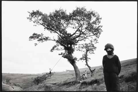 Boy with Face Mask Next to Large Tree