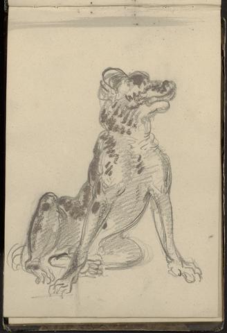 William Brockedon Portrait of a Dog