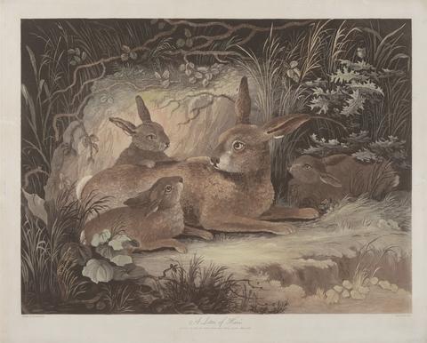 Richard Gilson Reeve Set of four: (3) A Litter of Hares