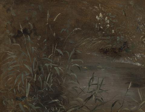 John Constable Rushes by a pool