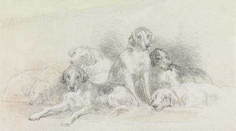 John Frederick Tayler Six Foxhounds Resting