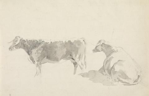 Sawrey Gilpin Studies of Cattle