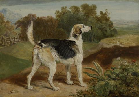 James Ward Ravager, One of the Lambton Hounds