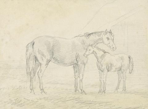 Sawrey Gilpin Mare with Foal