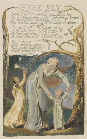 William Blake Songs of Innocence and of Experience, Plate 48, "The Fly" (Bentley 40)