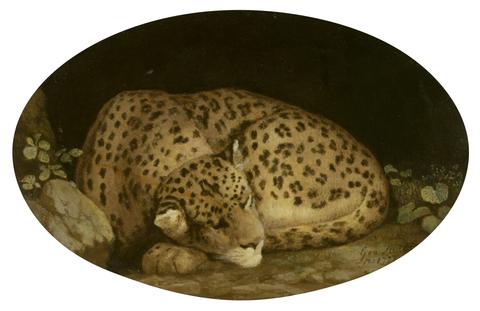 George Stubbs Sleeping Leopard