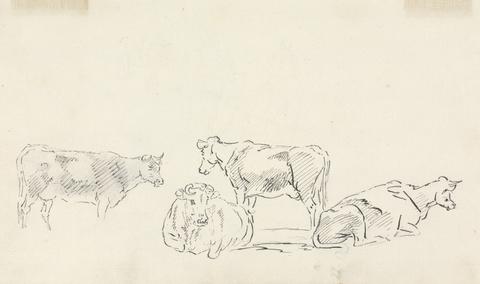 Sawrey Gilpin Study of Cattle
