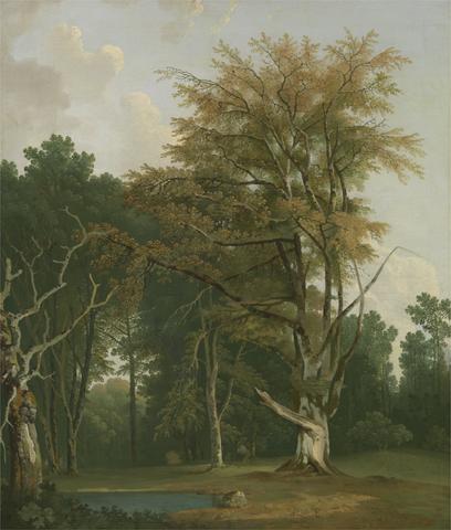 Joseph Farington Trees in a Woodland Glade