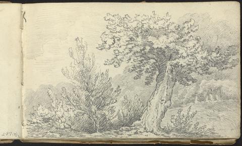 Thomas Bradshaw Album of Landscape and Figure Studies: Study of Trees and Shrubs