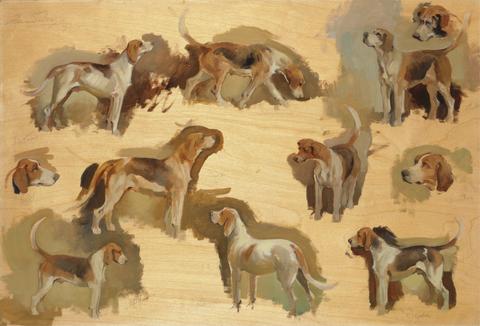 Edward Brian Seago Sketches of Eleven Hounds of the Tedworth Park Hunt