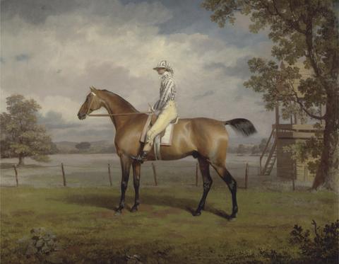 George Garrard Portrait of a Racehorse, Possibly Disguise, the Property of the Duke of Hamilton, with Jockey Up
