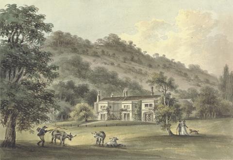 John Hassell Grove Cottage, Box Hill, Surrey, the Seat of George Barclay Esq.