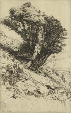 Charles Holyroyd A Yew Tree on Glaramara