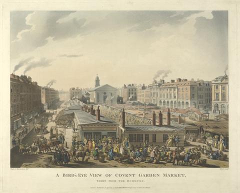 John Bluck A Bird's Eye View of Covent Garden Market
