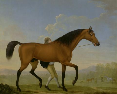 William Shaw The Duke of Ancaster's Bay Stallion, Blank, Walking Towards a Mare