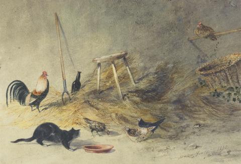 Newton Limbird Smith Fielding A Cat and Chickens
