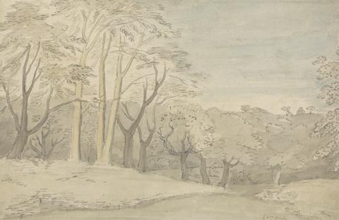 William Blake A Woody Landscape