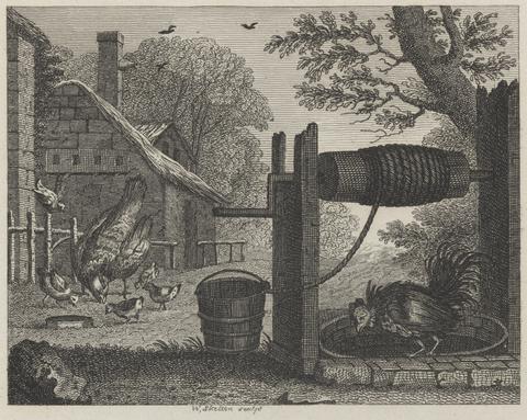 William Skelton Fable XX. The Old Hen and the Cock