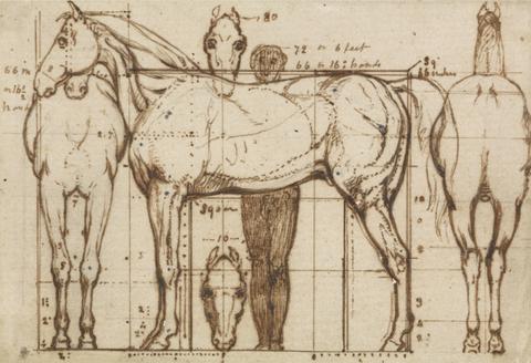 William Mulready Anatomical Study of a Horse