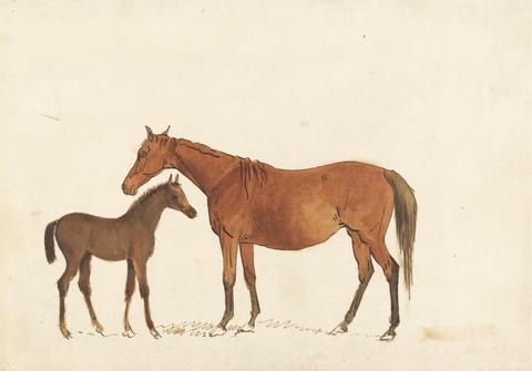Sawrey Gilpin Chestnut Mare and Foal