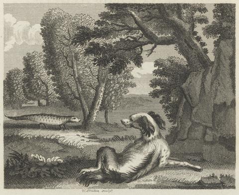 William Skelton Fable II. The Spaniel and the Cameleon