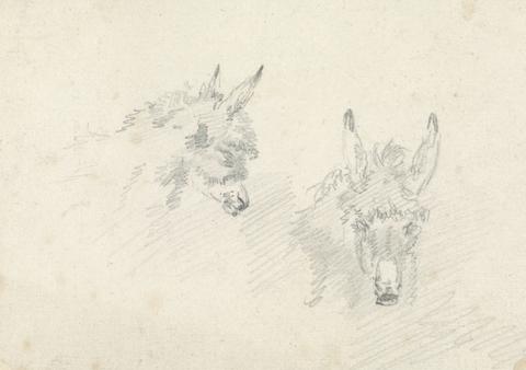Sawrey Gilpin Two Heads of Donkeys