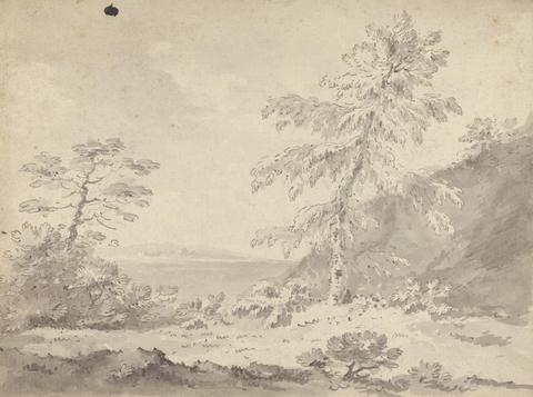 Rev. William Gilpin Two Trees in a Landscape