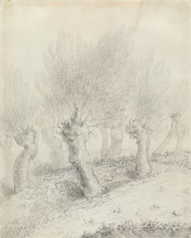 John Constable Pollarded Willows