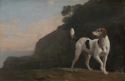 George Stubbs Foxhound