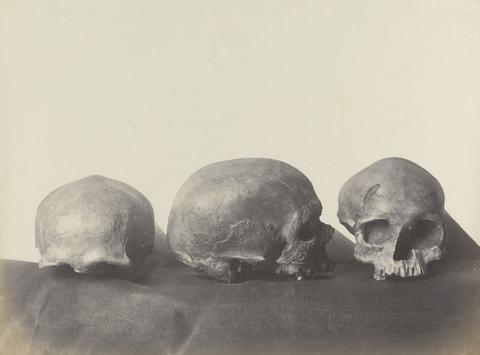 Stephen Thompson Three Skulls, Found in a Cave at Cro-Magnon, near Les Eyzies, Dordogne, France (from Casts)