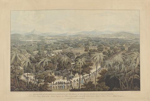 Robert Havell The Method of Catching Wild Elephants by the Kraal in Island of Ceylon in the East Indies