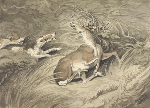 Two Hounds Attacking a Stag at Bay