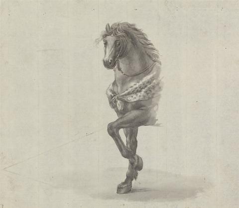 James Bruce Study of the Front of a Horse