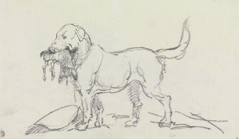 unknown artist Retriever with Hare in Its Mouth