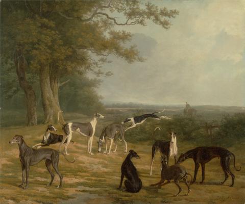 Jacques-Laurent Agasse Nine Greyhounds in a Landscape