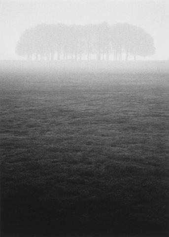 Michael Kenna Trees, Richmond, Surrey, England #89/90