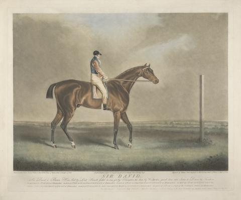 Sir David. Sir David a Brown Horse, bred by Lord Stowell, foaled in 1801 got by Trumpeter, his dam by Woodpecker, grand dam own Sister to Driver by Trentham, ...