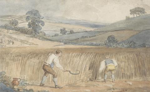 Farmers Harvesting