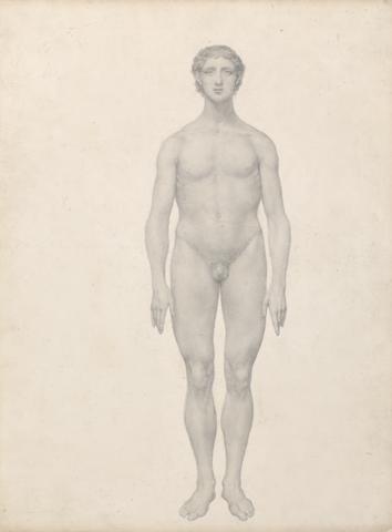 George Stubbs Human Figure, Anterior View, Undissected (Finished Study for Table VI)