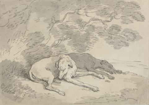 Two Greyhounds Lying under a Tree
