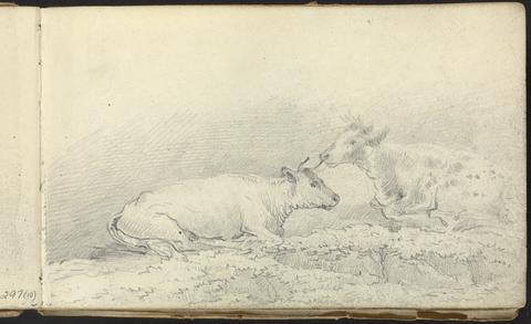 Album of Landscapes and Figure Studies: Two Cows Resting
