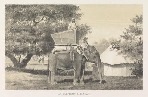 unknown artist An Elephant and Howdah