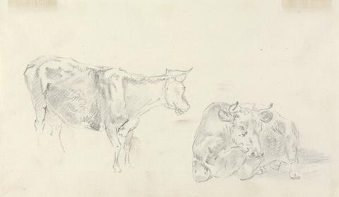 Sawrey Gilpin Standing cow facing right and a cow lying down