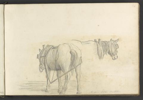 William Brockedon Studies from Nature (two horses)