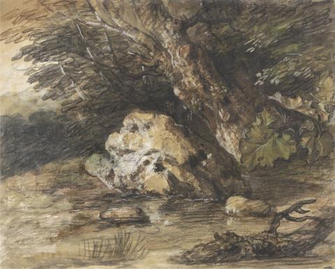 Thomas Gainsborough RA A Woodland Pool with Rocks and Plants