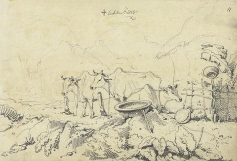 George Chinnery Three Cows Tethered
