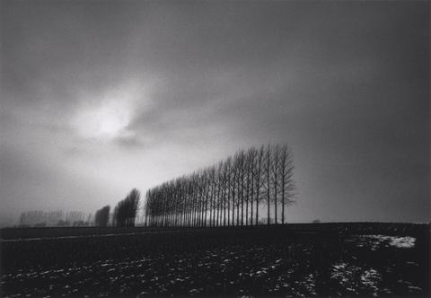 Michael Kenna Winter Trees, Oxfordshire, England #41/45