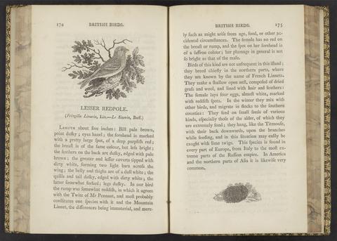 Bewick, Thomas, 1753-1828. A history of British birds.