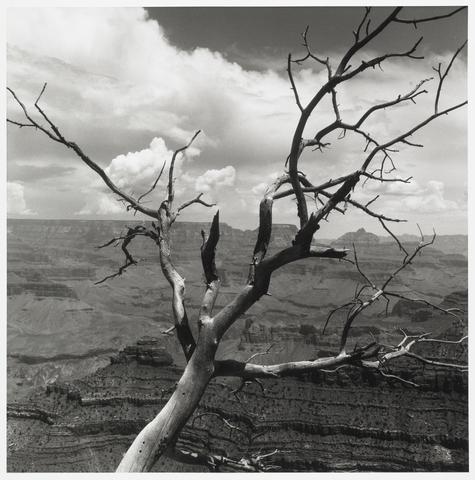 Constance Stuart Larrabee Grand Canyon, 1982